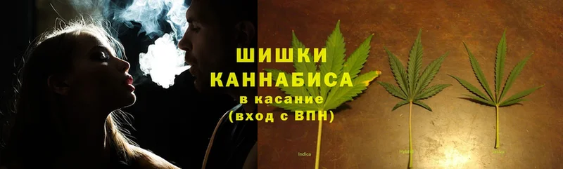 Конопля Bruce Banner  цены   МЕГА ONION  Городовиковск 